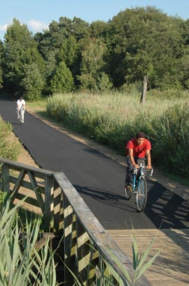 Walk or bike to reduce transportation pollution Walk or bike to reduce transportation pollution